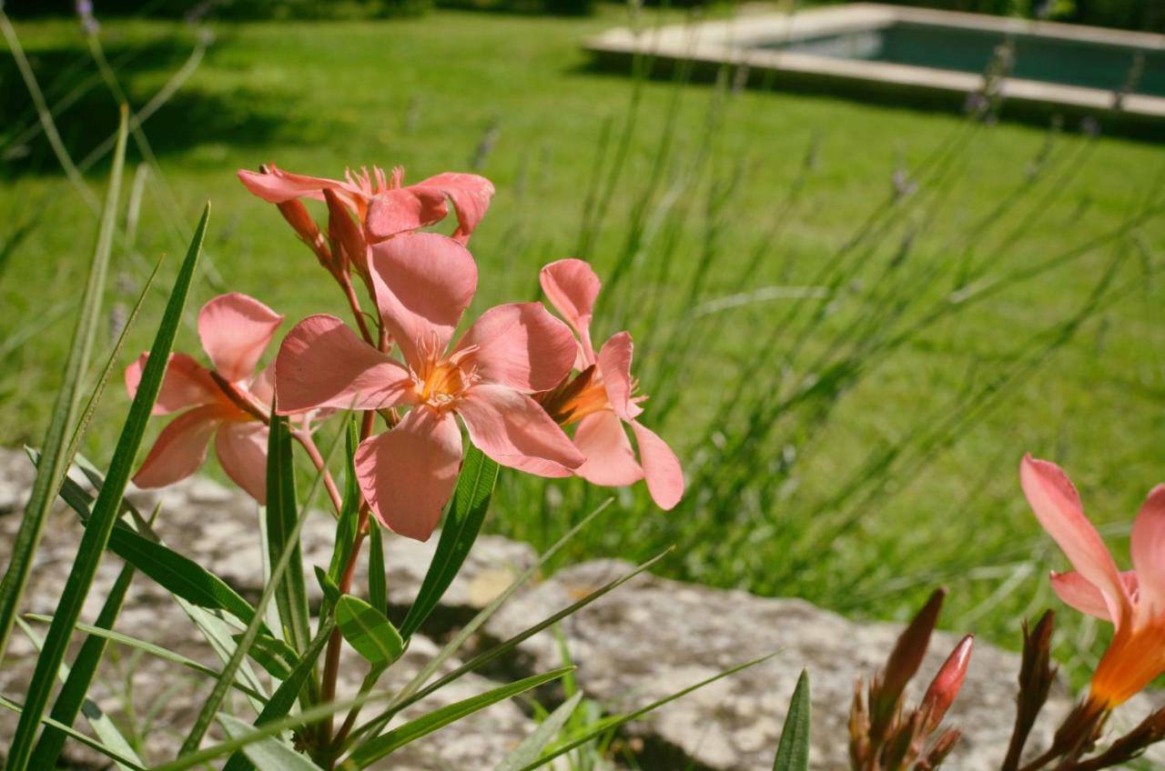 Roussillon en Isere Le Mas De Roussillon Bed & Breakfast エクステリア 写真